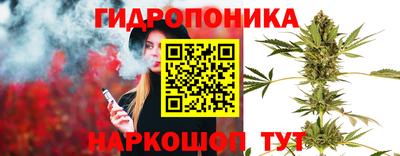 индика Нарткала