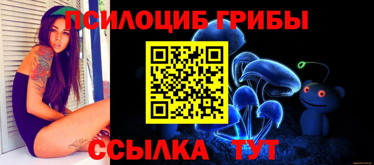 Псилоцибиновые грибы Magic Shrooms  Вход с VPN  Ставрополь 